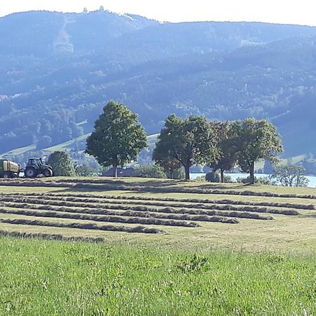 Hideaway Appartement Zell am Moos Buitenkant foto