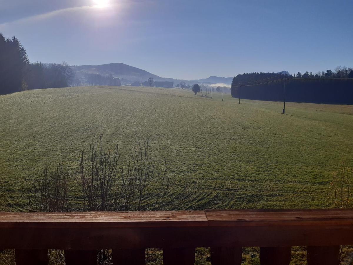 Hideaway Appartement Zell am Moos Buitenkant foto