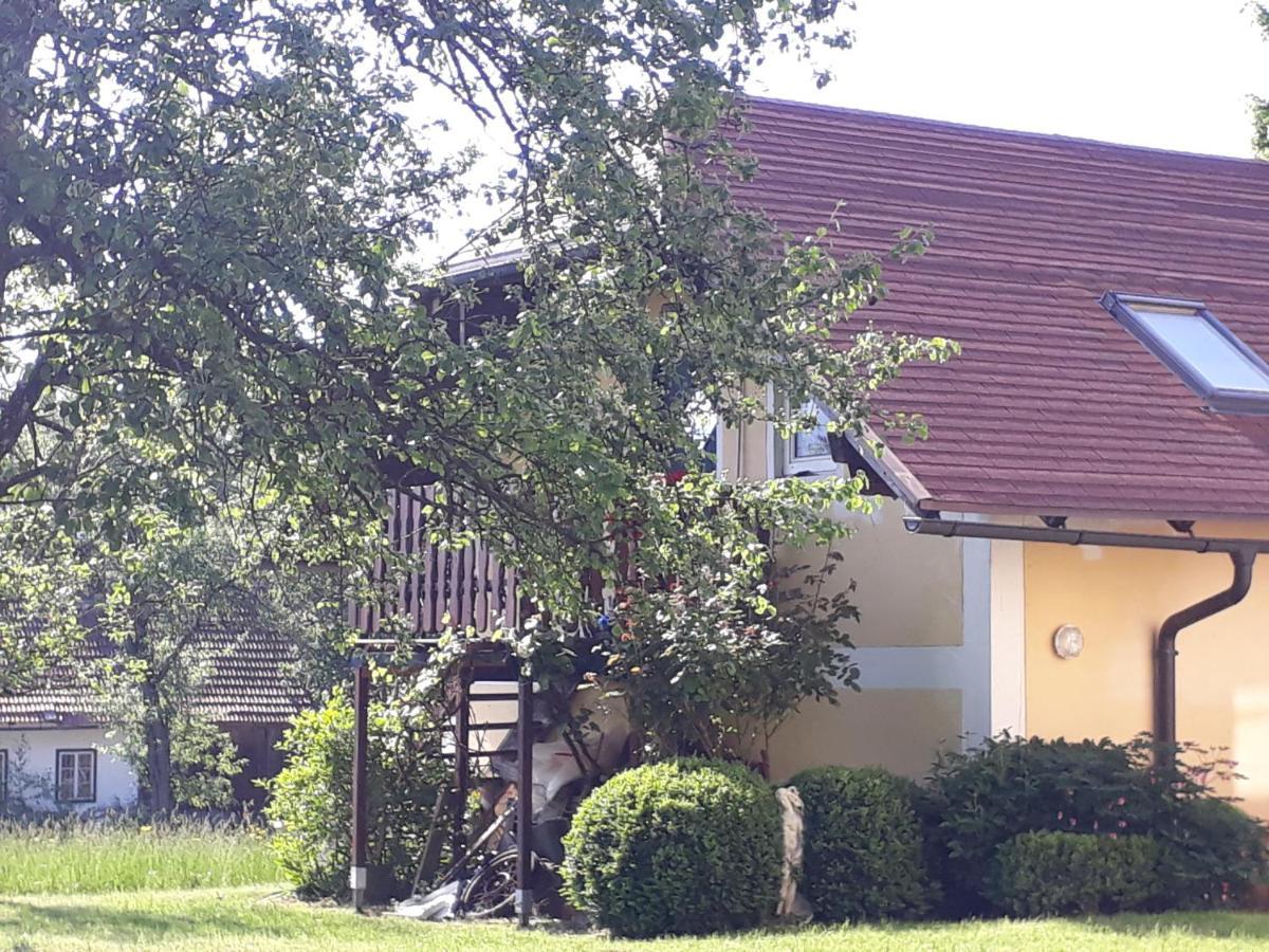 Hideaway Appartement Zell am Moos Buitenkant foto